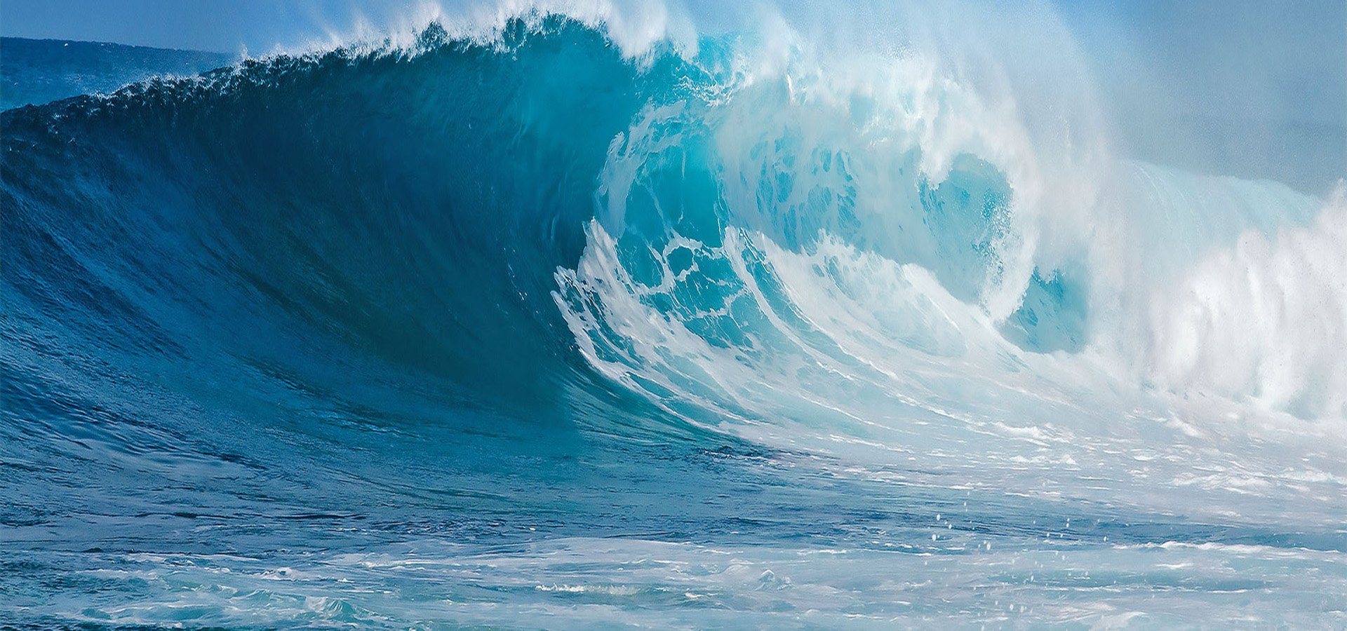 元含万象、万象J9集团国际站